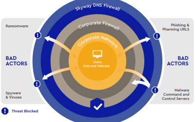 Skyway West Launches Skyway DNS Firewall